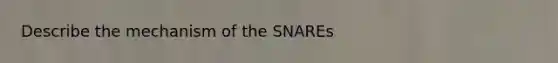 Describe the mechanism of the SNAREs