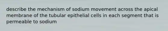 describe the mechanism of sodium movement across the apical membrane of the tubular epithelial cells in each segment that is permeable to sodium