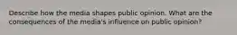 Describe how the media shapes public opinion. What are the consequences of the media's influence on public opinion?