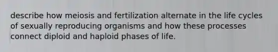 describe how meiosis and fertilization alternate in the life cycles of sexually reproducing organisms and how these processes connect diploid and haploid phases of life.