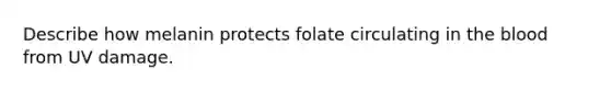 Describe how melanin protects folate circulating in <a href='https://www.questionai.com/knowledge/k7oXMfj7lk-the-blood' class='anchor-knowledge'>the blood</a> from UV damage.