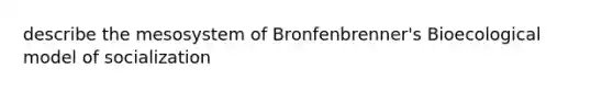 describe the mesosystem of Bronfenbrenner's Bioecological model of socialization