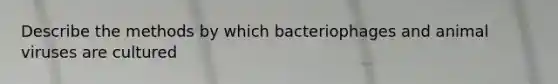 Describe the methods by which bacteriophages and animal viruses are cultured