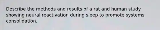 Describe the methods and results of a rat and human study showing neural reactivation during sleep to promote systems consolidation.