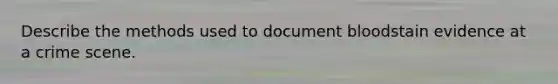 Describe the methods used to document bloodstain evidence at a crime scene.