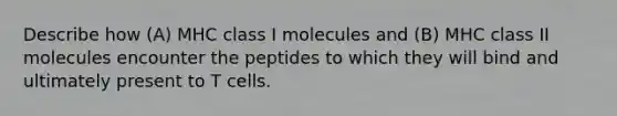 Describe how (A) MHC class I molecules and (B) MHC class II molecules encounter the peptides to which they will bind and ultimately present to T cells.