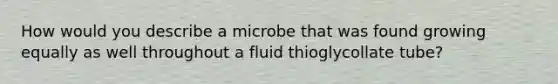 How would you describe a microbe that was found growing equally as well throughout a fluid thioglycollate tube?