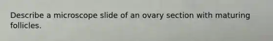 Describe a microscope slide of an ovary section with maturing follicles.