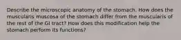 Describe the microscopic anatomy of the stomach. How does the muscularis muscosa of the stomach differ from the muscularis of the rest of the GI tract? How does this modification help the stomach perform its functions?