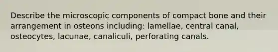 Describe the microscopic components of compact bone and their arrangement in osteons including: lamellae, central canal, osteocytes, lacunae, canaliculi, perforating canals.