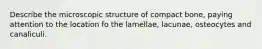 Describe the microscopic structure of compact bone, paying attention to the location fo the lamellae, lacunae, osteocytes and canaliculi.