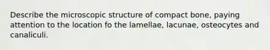 Describe the microscopic structure of compact bone, paying attention to the location fo the lamellae, lacunae, osteocytes and canaliculi.