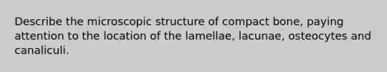 Describe the microscopic structure of compact bone, paying attention to the location of the lamellae, lacunae, osteocytes and canaliculi.