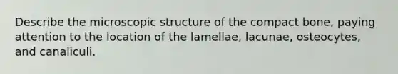 Describe the microscopic structure of the compact bone, paying attention to the location of the lamellae, lacunae, osteocytes, and canaliculi.