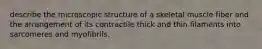 describe the microscopic structure of a skeletal muscle fiber and the arrangement of its contractile thick and thin filaments into sarcomeres and myofibrils.