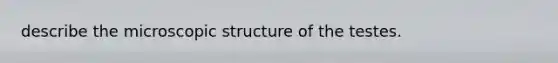 describe the microscopic structure of the testes.