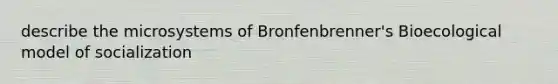 describe the microsystems of Bronfenbrenner's Bioecological model of socialization