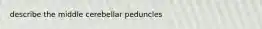 describe the middle cerebellar peduncles