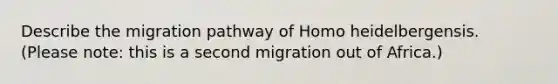 Describe the migration pathway of Homo heidelbergensis. (Please note: this is a second migration out of Africa.)