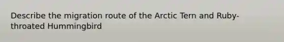 Describe the migration route of the Arctic Tern and Ruby-throated Hummingbird