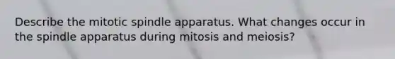 Describe the mitotic spindle apparatus. What changes occur in the spindle apparatus during mitosis and meiosis?