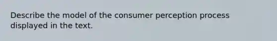 Describe the model of the consumer perception process displayed in the text.