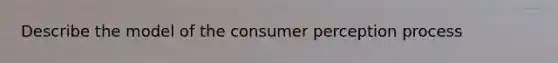 Describe the model of the consumer perception process