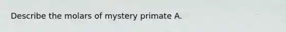 Describe the molars of mystery primate A.