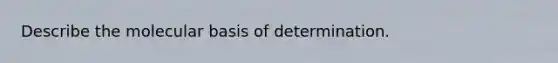 Describe the molecular basis of determination.