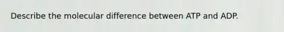 Describe the molecular difference between ATP and ADP.