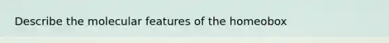 Describe the molecular features of the homeobox