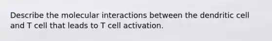 Describe the molecular interactions between the dendritic cell and T cell that leads to T cell activation.