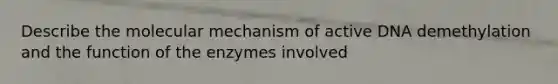 Describe the molecular mechanism of active DNA demethylation and the function of the enzymes involved