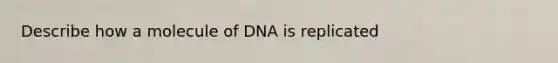 Describe how a molecule of DNA is replicated