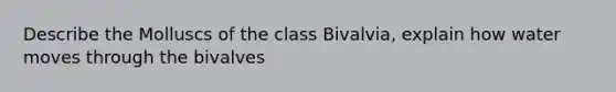 Describe the Molluscs of the class Bivalvia, explain how water moves through the bivalves