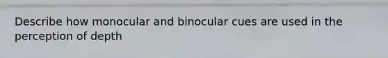 Describe how monocular and binocular cues are used in the perception of depth