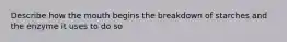 Describe how the mouth begins the breakdown of starches and the enzyme it uses to do so