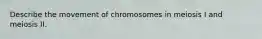 Describe the movement of chromosomes in meiosis I and meiosis II.