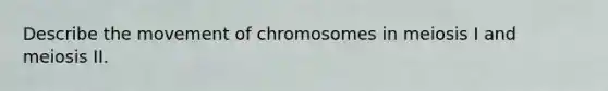 Describe the movement of chromosomes in meiosis I and meiosis II.