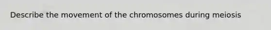 Describe the movement of the chromosomes during meiosis