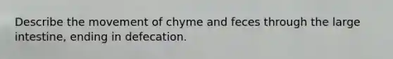 Describe the movement of chyme and feces through the <a href='https://www.questionai.com/knowledge/kGQjby07OK-large-intestine' class='anchor-knowledge'>large intestine</a>, ending in defecation.