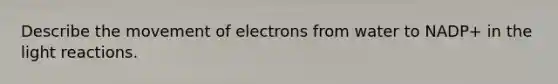 Describe the movement of electrons from water to NADP+ in the <a href='https://www.questionai.com/knowledge/kSUoWrrvoC-light-reactions' class='anchor-knowledge'>light reactions</a>.