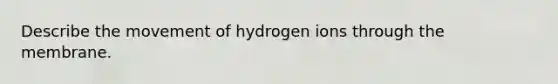 Describe the movement of hydrogen ions through the membrane.