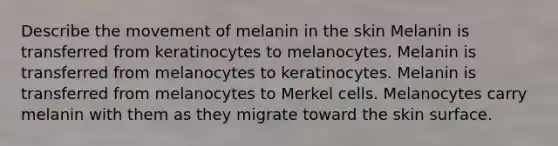 Describe the movement of melanin in the skin Melanin is transferred from keratinocytes to melanocytes. Melanin is transferred from melanocytes to keratinocytes. Melanin is transferred from melanocytes to Merkel cells. Melanocytes carry melanin with them as they migrate toward the skin surface.