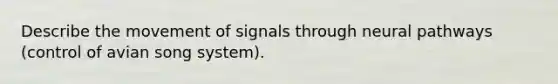 Describe the movement of signals through neural pathways (control of avian song system).