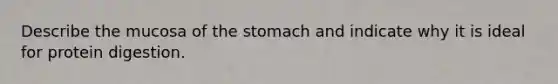 Describe the mucosa of the stomach and indicate why it is ideal for protein digestion.