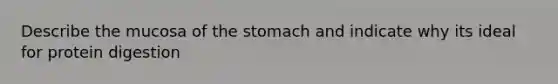 Describe the mucosa of <a href='https://www.questionai.com/knowledge/kLccSGjkt8-the-stomach' class='anchor-knowledge'>the stomach</a> and indicate why its ideal for protein digestion