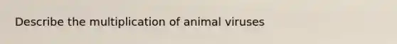 Describe the multiplication of animal viruses