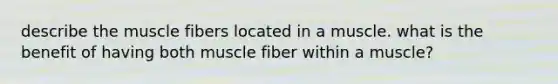 describe the muscle fibers located in a muscle. what is the benefit of having both muscle fiber within a muscle?