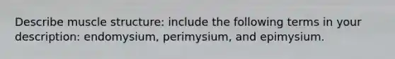 Describe muscle structure: include the following terms in your description: endomysium, perimysium, and epimysium.